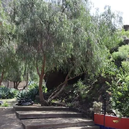 Con Piscina Apartamento *